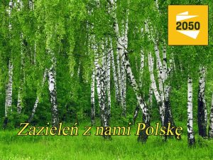 Ruch Szymona Hołowni będzie rozdawał sadzonki drzew w Żninie, Barcinie i Łabiszynie